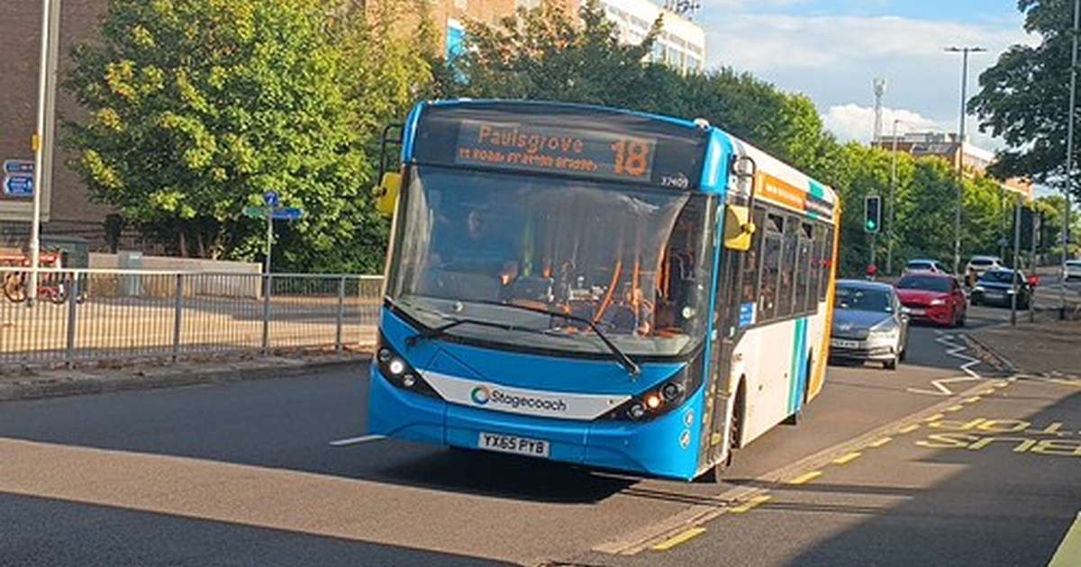 37409 - YX65 PYB